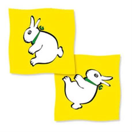 Pañuelo Amarillo Conejo - Pato
