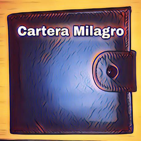 Cartera Milagro MS