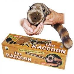 Raccoon