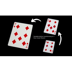 Glitch Card by Tumi Magic